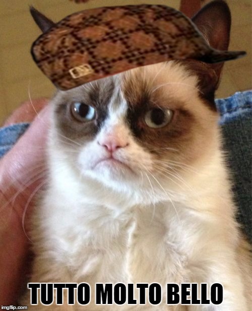 Grumpy Cat Meme | TUTTO MOLTO BELLO | image tagged in memes,grumpy cat,scumbag | made w/ Imgflip meme maker