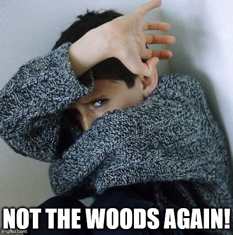 NOT THE WOODS AGAIN! | made w/ Imgflip meme maker