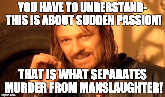 One Does Not Simply | YOU HAVE TO UNDERSTAND- THIS IS ABOUT SUDDEN PASSION! THAT IS WHAT SEPARATES MURDER FROM MANSLAUGHTER! | image tagged in memes,one does not simply | made w/ Imgflip meme maker
