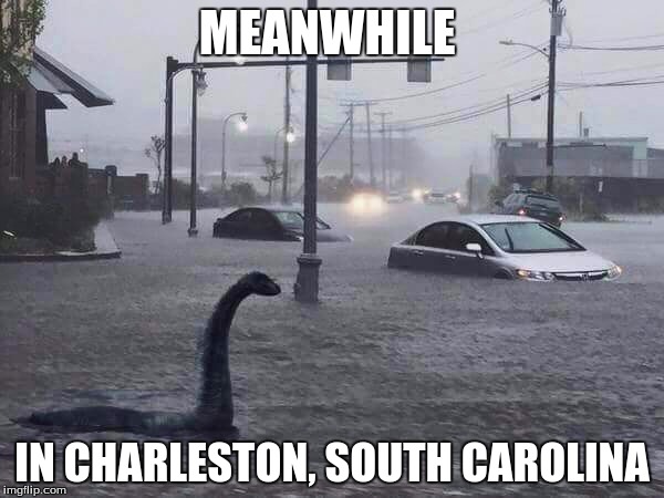 Loch Ness Monster | MEANWHILE IN CHARLESTON, SOUTH CAROLINA | image tagged in memes,loch ness monster,charleston,flood | made w/ Imgflip meme maker