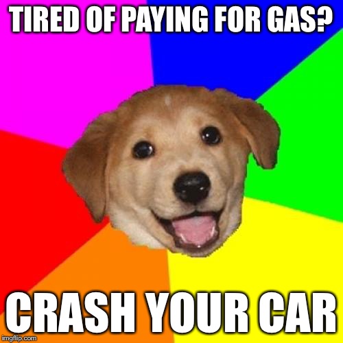 Advice Dog | TIRED OF PAYING FOR GAS? CRASH YOUR CAR | image tagged in memes,advice dog | made w/ Imgflip meme maker