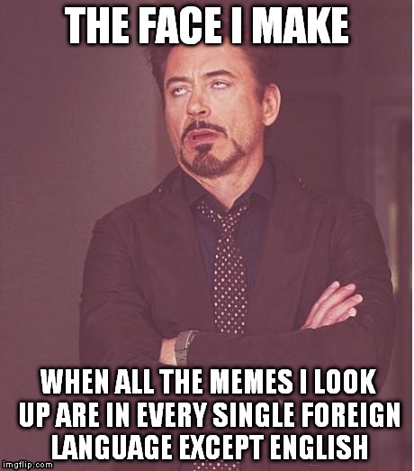 Face You Make Robert Downey Jr | THE FACE I MAKE WHEN ALL THE MEMES I LOOK UP ARE IN EVERY SINGLE FOREIGN LANGUAGE EXCEPT ENGLISH | image tagged in memes,face you make robert downey jr | made w/ Imgflip meme maker