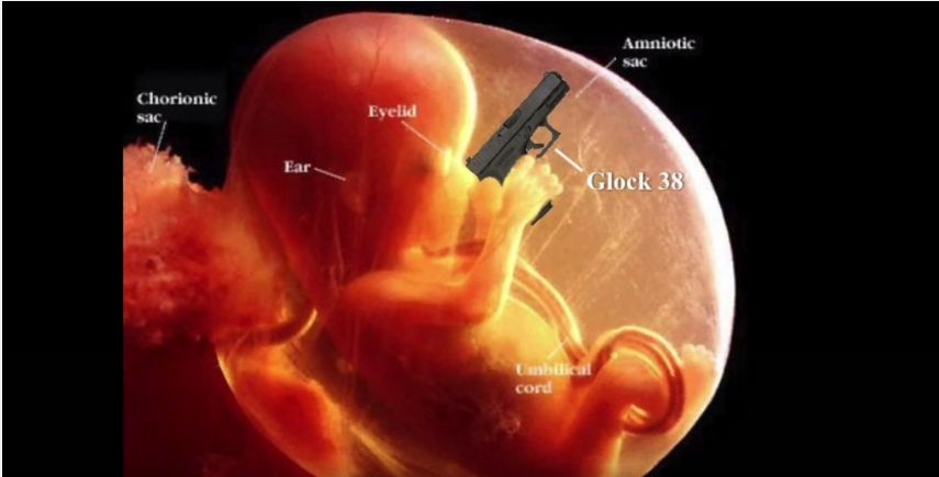 Fetus Blank Meme Template