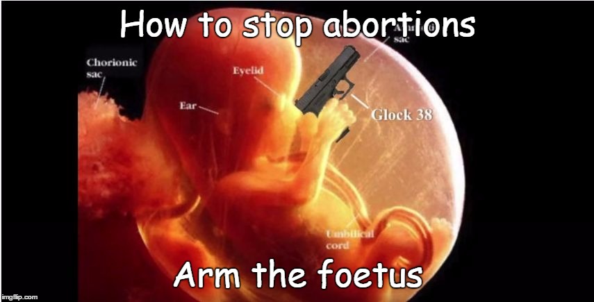 Arm the foetus | How to stop abortions Arm the foetus | image tagged in fetus,foetus,abortion | made w/ Imgflip meme maker