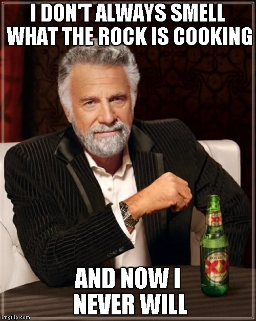 The Most Interesting Man In The World Meme | I DON'T ALWAYS SMELL WHAT THE ROCK IS COOKING AND NOW I NEVER WILL | image tagged in memes,the most interesting man in the world | made w/ Imgflip meme maker