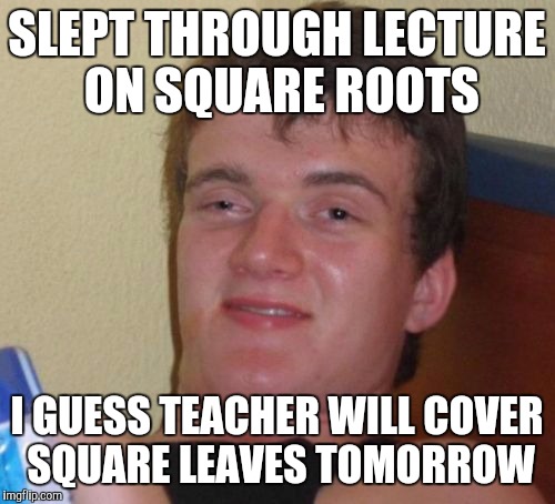 10 Guy Meme | SLEPT THROUGH LECTURE ON SQUARE ROOTS I GUESS TEACHER WILL COVER SQUARE LEAVES TOMORROW | image tagged in memes,10 guy | made w/ Imgflip meme maker