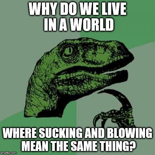 Philosoraptor | WHY DO WE LIVE IN A WORLD WHERE SUCKING AND BLOWING MEAN THE SAME THING? | image tagged in memes,philosoraptor | made w/ Imgflip meme maker