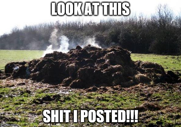 Steaming pile of shit | LOOK AT THIS SHIT I POSTED!!! | image tagged in steaming pile of shit | made w/ Imgflip meme maker