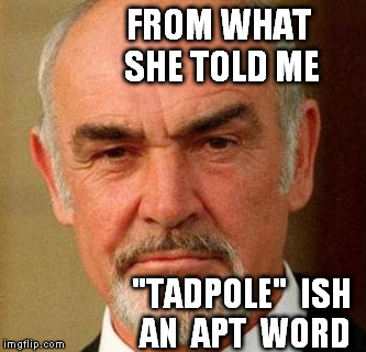 FROM WHAT SHE TOLD ME "TADPOLE"  ISH AN  APT  WORD | image tagged in connery | made w/ Imgflip meme maker