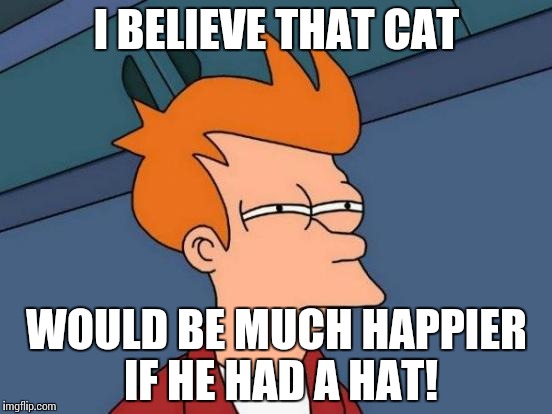 Futurama Fry Meme | I BELIEVE THAT CAT WOULD BE MUCH HAPPIER IF HE HAD A HAT! | image tagged in memes,futurama fry | made w/ Imgflip meme maker