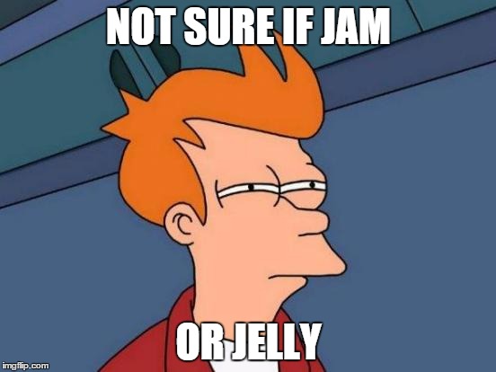 Futurama Fry Meme | NOT SURE IF JAM OR JELLY | image tagged in memes,futurama fry | made w/ Imgflip meme maker