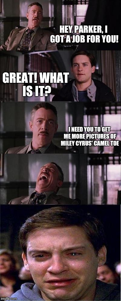 Peter Parker Cry Meme | HEY PARKER, I GOT A JOB FOR YOU! GREAT! WHAT IS IT? I NEED YOU TO GET ME MORE PICTURES OF MILEY CYRUS' CAMEL TOE | image tagged in memes,peter parker cry | made w/ Imgflip meme maker