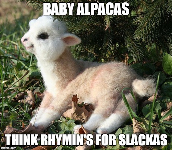 BABY ALPACAS THINK RHYMIN'S FOR SLACKAS | made w/ Imgflip meme maker