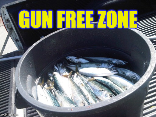 It's just like shooting fish in a barrel | GUN FREE ZONE | image tagged in fish in a barrel,gun control,gun free zone,2nd amendment,obama sucks | made w/ Imgflip meme maker