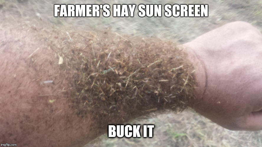 FARMER'S HAY SUN SCREEN BUCK IT | image tagged in hay farmer | made w/ Imgflip meme maker