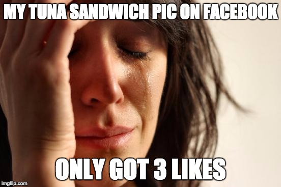 First World Problems Meme | MY TUNA SANDWICH PIC ON FACEBOOK ONLY GOT 3 LIKES | image tagged in memes,first world problems | made w/ Imgflip meme maker