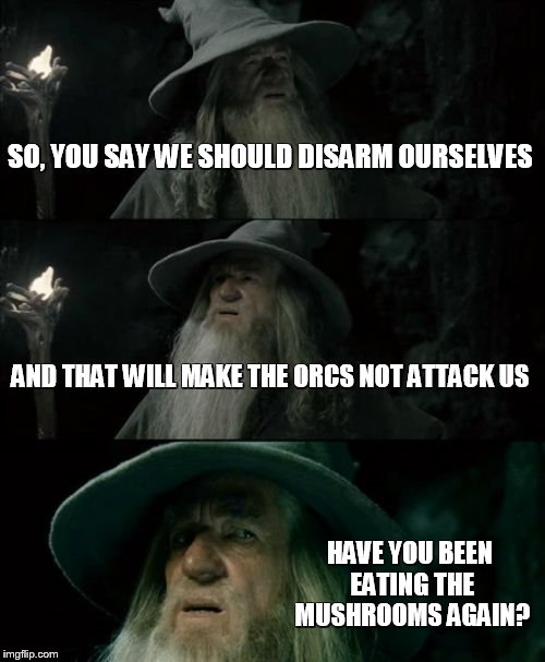 Confused Gandalf | SO, YOU SAY WE SHOULD DISARM OURSELVES AND THAT WILL MAKE THE ORCS NOT ATTACK US HAVE YOU BEEN EATING THE MUSHROOMS AGAIN? | image tagged in memes,confused gandalf | made w/ Imgflip meme maker