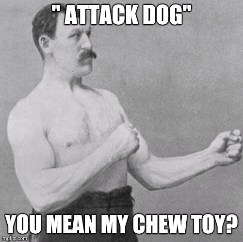 over manly man | " ATTACK DOG" YOU MEAN MY CHEW TOY? | image tagged in over manly man | made w/ Imgflip meme maker
