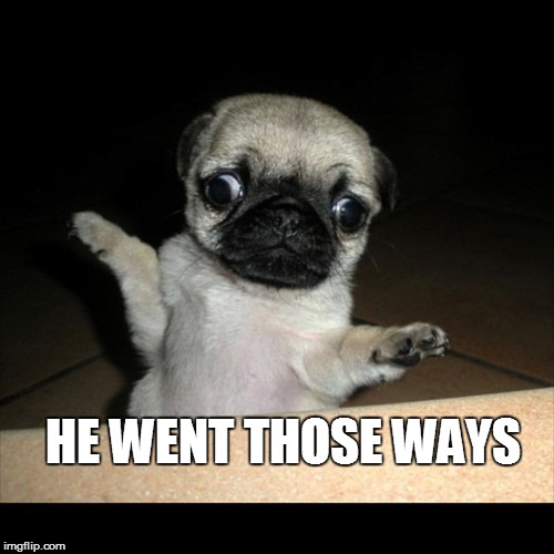 Pug | HE WENT THOSE WAYS | image tagged in pug,dog,funny memes,animals | made w/ Imgflip meme maker