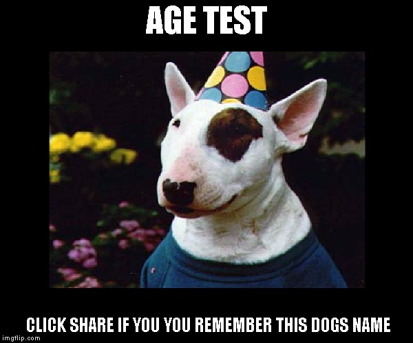 Age test, share if you remember this dog | AGE TEST CLICK SHARE IF YOU YOU REMEMBER THIS DOGS NAME | image tagged in age test,cool dog | made w/ Imgflip meme maker