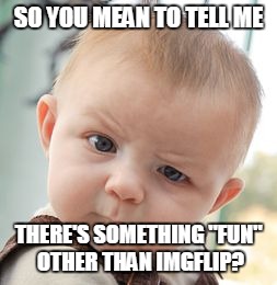 Skeptical Baby Meme | SO YOU MEAN TO TELL ME THERE'S SOMETHING "FUN" OTHER THAN IMGFLIP? | image tagged in memes,skeptical baby | made w/ Imgflip meme maker