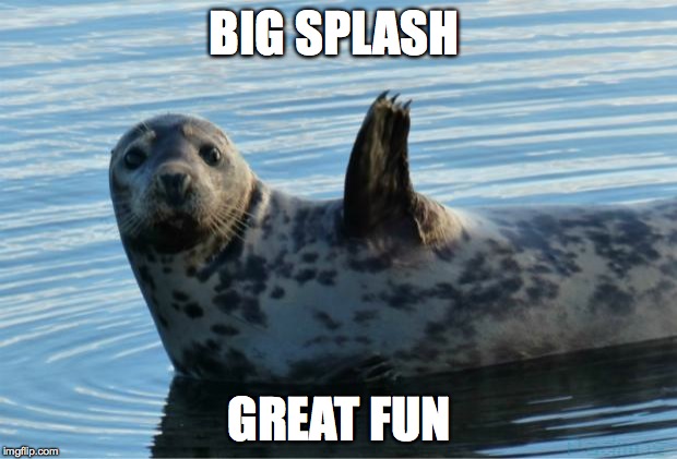Seal | BIG SPLASH GREAT FUN | image tagged in seal | made w/ Imgflip meme maker