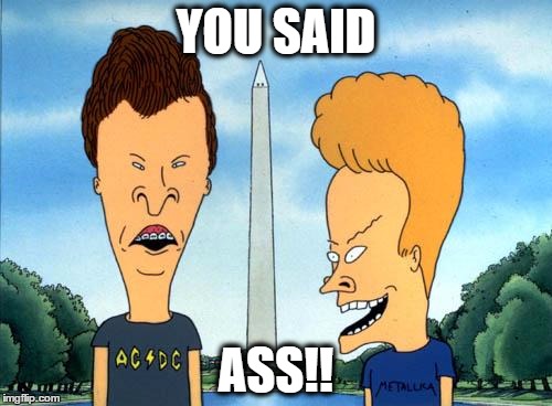 beavis and butthead | YOU SAID ASS!! | image tagged in beavis and butthead | made w/ Imgflip meme maker