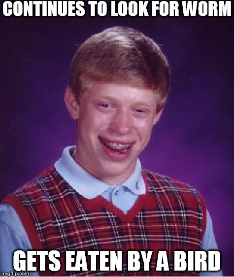 Bad Luck Brian Meme | CONTINUES TO LOOK FOR WORM GETS EATEN BY A BIRD | image tagged in memes,bad luck brian | made w/ Imgflip meme maker