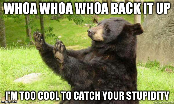 How about no bear | WHOA WHOA WHOA BACK IT UP I'M TOO COOL TO CATCH YOUR STUPIDITY | image tagged in how about no bear | made w/ Imgflip meme maker