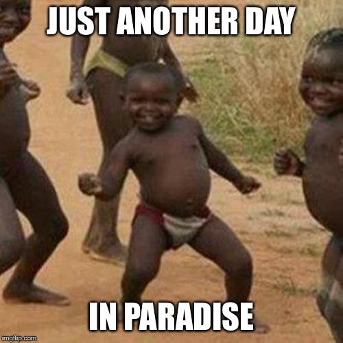 Third World Success Kid Meme | JUST ANOTHER DAY IN PARADISE | image tagged in memes,third world success kid | made w/ Imgflip meme maker