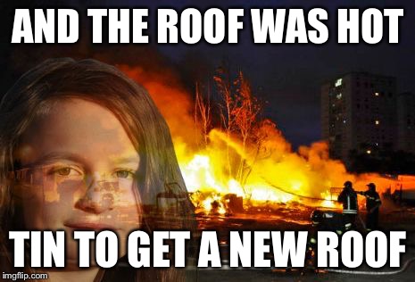 Disaster Lady | AND THE ROOF WAS HOT TIN TO GET A NEW ROOF | image tagged in disaster lady | made w/ Imgflip meme maker