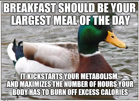 Diet tip | BREAKFAST SHOULD BE YOUR LARGEST MEAL OF THE DAY IT KICKSTARTS YOUR METABOLISM, AND MAXIMIZES THE NUMBER OF HOURS YOUR BODY HAS TO BURN OFF  | image tagged in memes,actual advice mallard,diet | made w/ Imgflip meme maker
