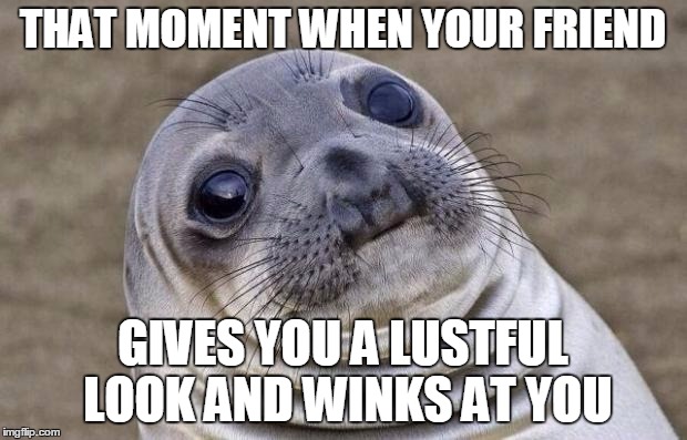 Whaddafoq? | THAT MOMENT WHEN YOUR FRIEND GIVES YOU A LUSTFUL LOOK AND WINKS AT YOU | image tagged in memes,awkward moment sealion | made w/ Imgflip meme maker