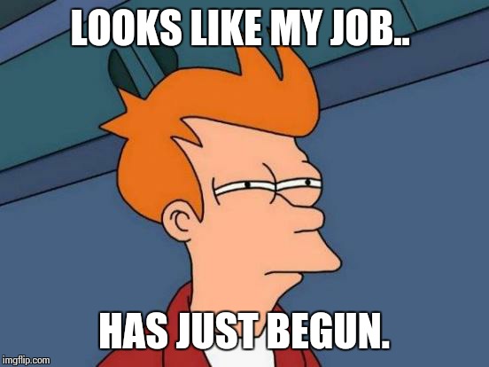 Futurama Fry Meme | LOOKS LIKE MY JOB.. HAS JUST BEGUN. | image tagged in memes,futurama fry | made w/ Imgflip meme maker