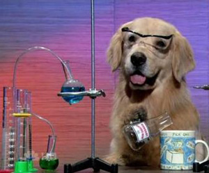 High Quality Science Dog Blank Meme Template