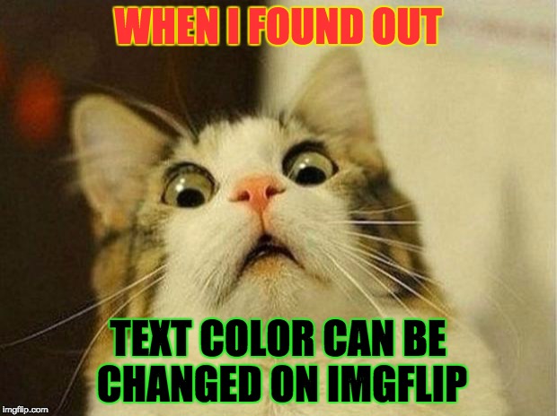 Scared Cat Meme | WHEN I FOUND OUT TEXT COLOR CAN BE CHANGED ON IMGFLIP | image tagged in memes,scared cat | made w/ Imgflip meme maker