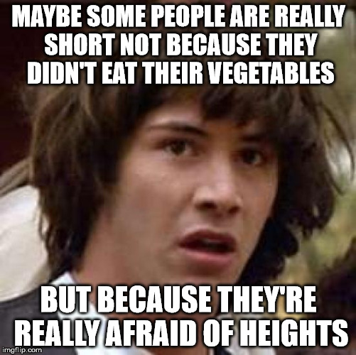 Conspiracy Keanu Meme | MAYBE SOME PEOPLE ARE REALLY SHORT NOT BECAUSE THEY DIDN'T EAT THEIR VEGETABLES BUT BECAUSE THEY'RE REALLY AFRAID OF HEIGHTS | image tagged in memes,conspiracy keanu | made w/ Imgflip meme maker