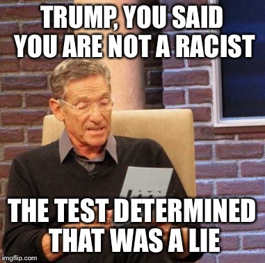 Maury Lie Detector Meme | TRUMP, YOU SAID YOU ARE NOT A RACIST THE TEST DETERMINED THAT WAS A LIE | image tagged in memes,maury lie detector | made w/ Imgflip meme maker