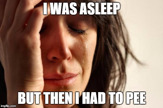First World Problems | I WAS ASLEEP BUT THEN I HAD TO PEE | image tagged in memes,first world problems | made w/ Imgflip meme maker