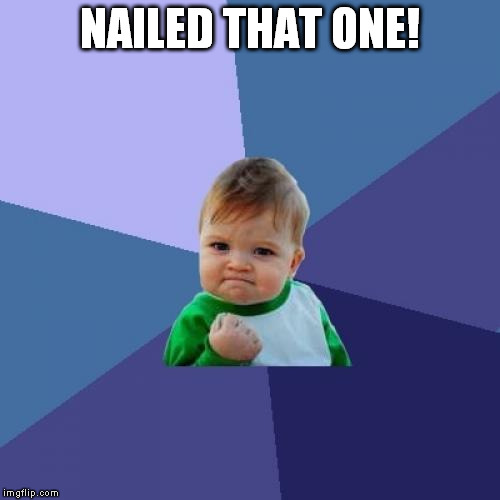 Success Kid Meme | NAILED THAT ONE! | image tagged in memes,success kid | made w/ Imgflip meme maker