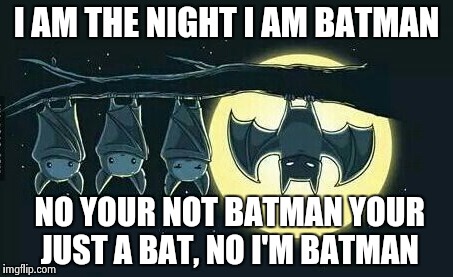 I am batman | I AM THE NIGHT I AM BATMAN NO YOUR NOT BATMAN YOUR JUST A BAT, NO I'M BATMAN | image tagged in memes,funny memes | made w/ Imgflip meme maker