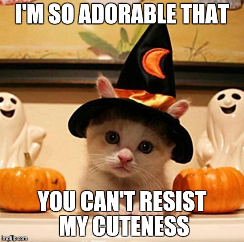 Adorable kitten | I'M SO ADORABLE THAT YOU CAN'T RESIST MY CUTENESS | image tagged in memes,cute,kittens | made w/ Imgflip meme maker