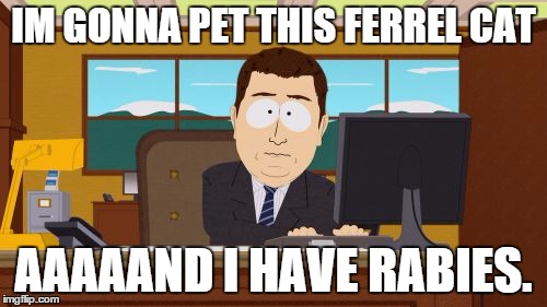 Aaaaand Its Gone | IM GONNA PET THIS FERREL CAT AAAAAND I HAVE RABIES. | image tagged in memes,aaaaand its gone | made w/ Imgflip meme maker