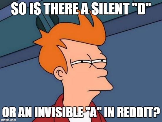 Futurama Fry Meme | SO IS THERE A SILENT "D" OR AN INVISIBLE "A" IN REDDIT? | image tagged in memes,futurama fry | made w/ Imgflip meme maker