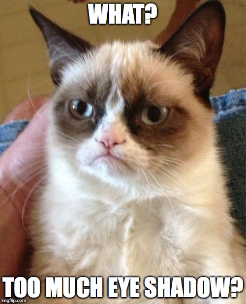 Grumpy Cat | WHAT? TOO MUCH EYE SHADOW? | image tagged in memes,grumpy cat | made w/ Imgflip meme maker