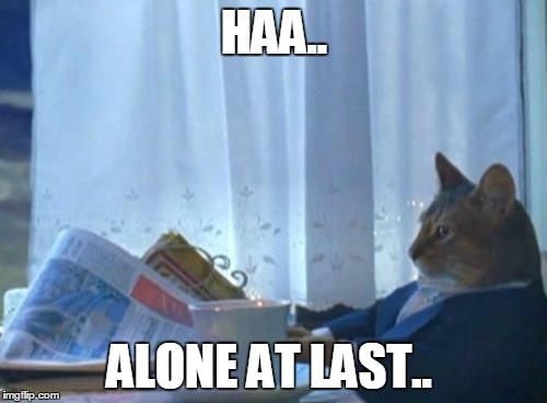 I Should Buy A Boat Cat | HAA.. ALONE AT LAST.. | image tagged in memes,i should buy a boat cat | made w/ Imgflip meme maker