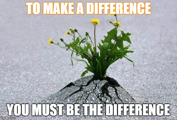 inspirational. | TO MAKE A DIFFERENCE YOU MUST BE THE DIFFERENCE | image tagged in inspirational | made w/ Imgflip meme maker