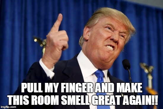 PULL MY FINGER AND MAKE THIS ROOM SMELL GREAT AGAIN!! | image tagged in trump | made w/ Imgflip meme maker
