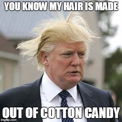 Donald Trump | YOU KNOW MY HAIR IS MADE OUT OF COTTON CANDY | image tagged in donald trump | made w/ Imgflip meme maker