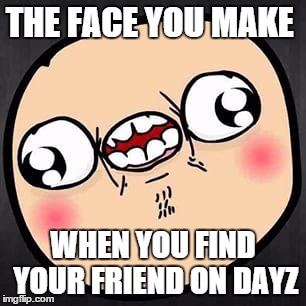 THE FACE YOU MAKE WHEN YOU FIND YOUR FRIEND ON DAYZ | image tagged in m3rkmus1c | made w/ Imgflip meme maker